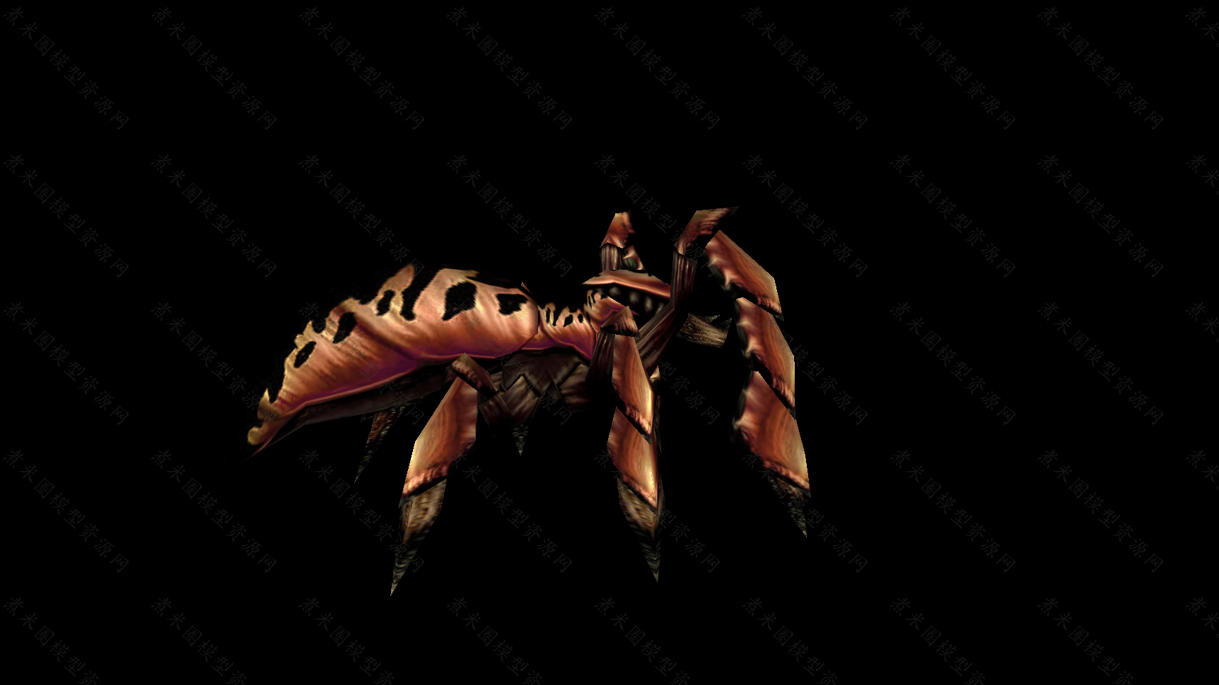 蜘蛛-1.png