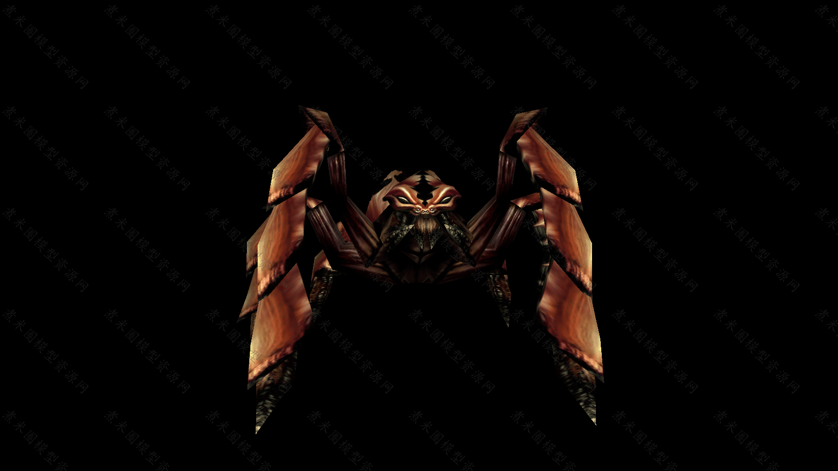 蜘蛛-2.png
