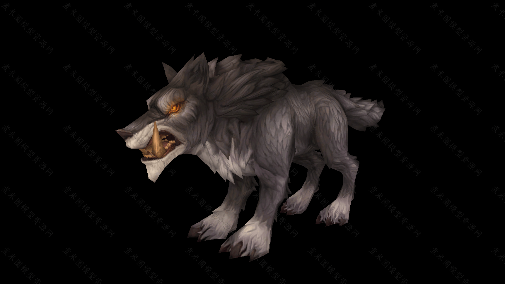 灰狼-1.png