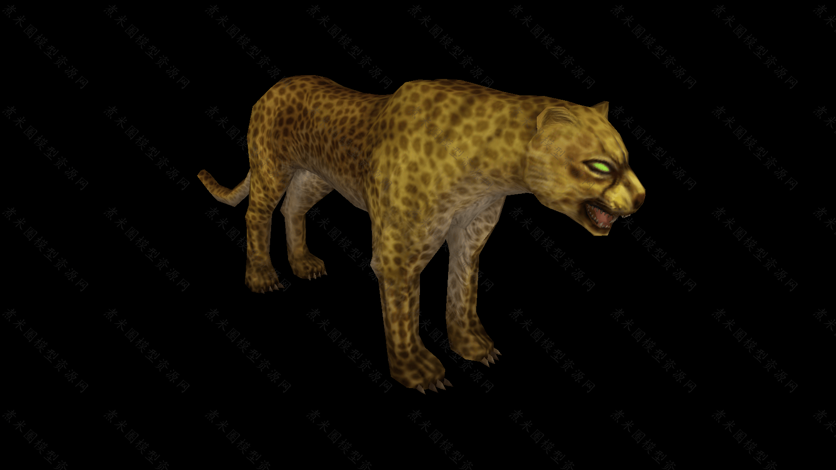 猎豹-2.png