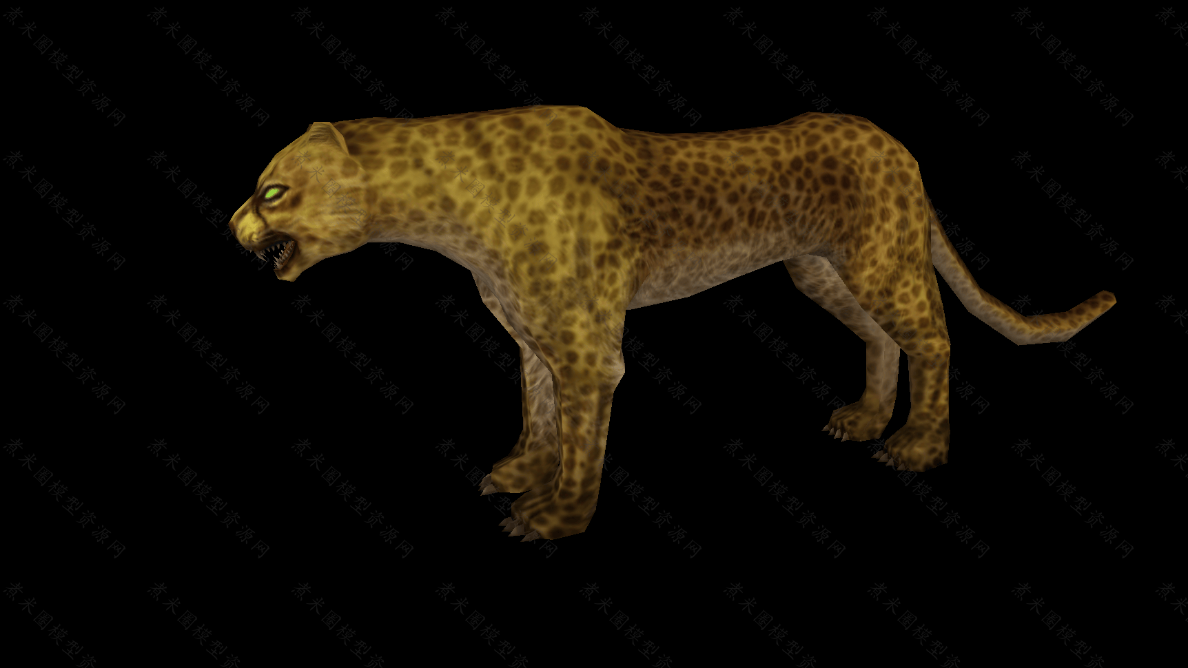 猎豹-3.png