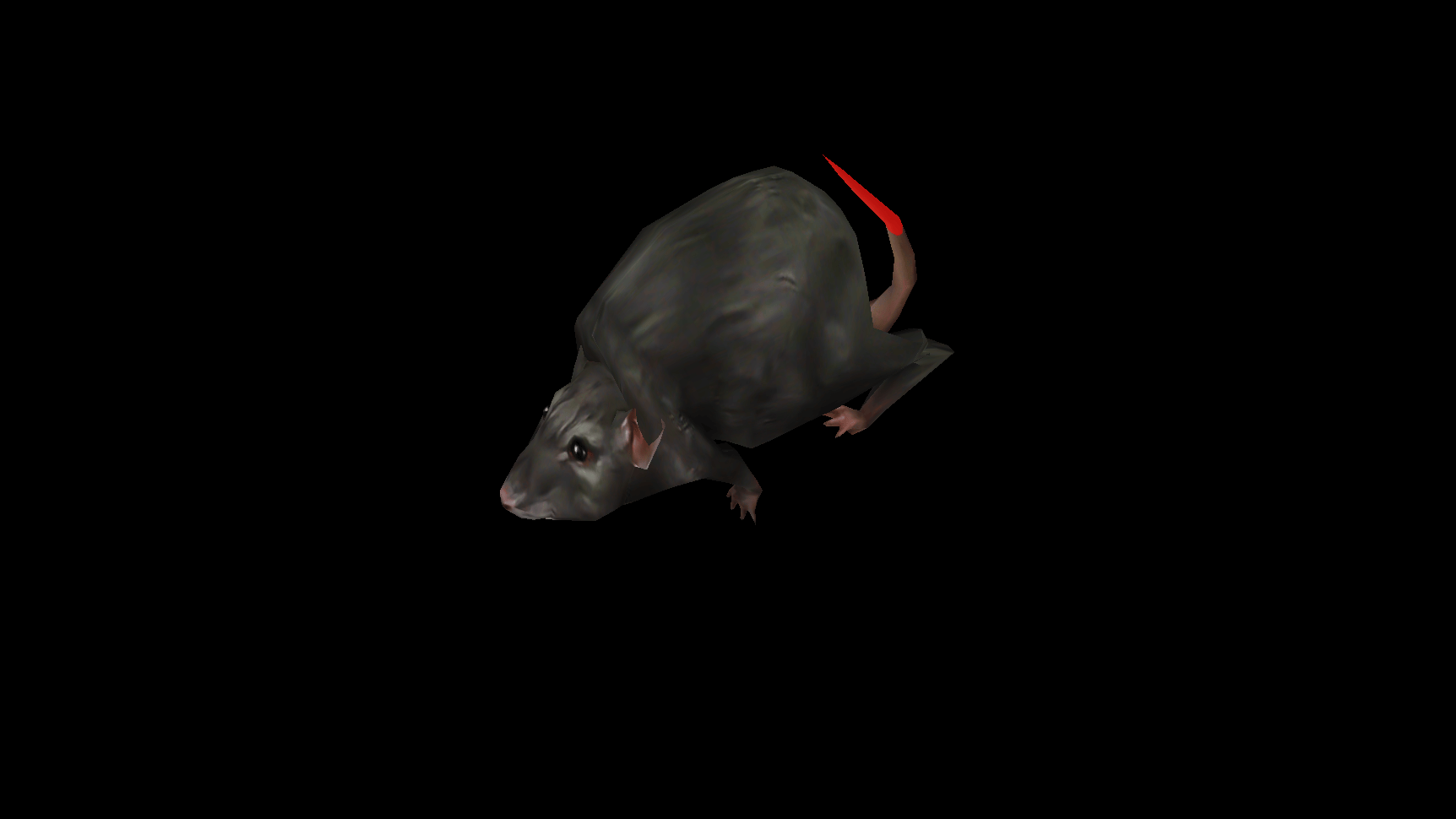 老鼠-3.png