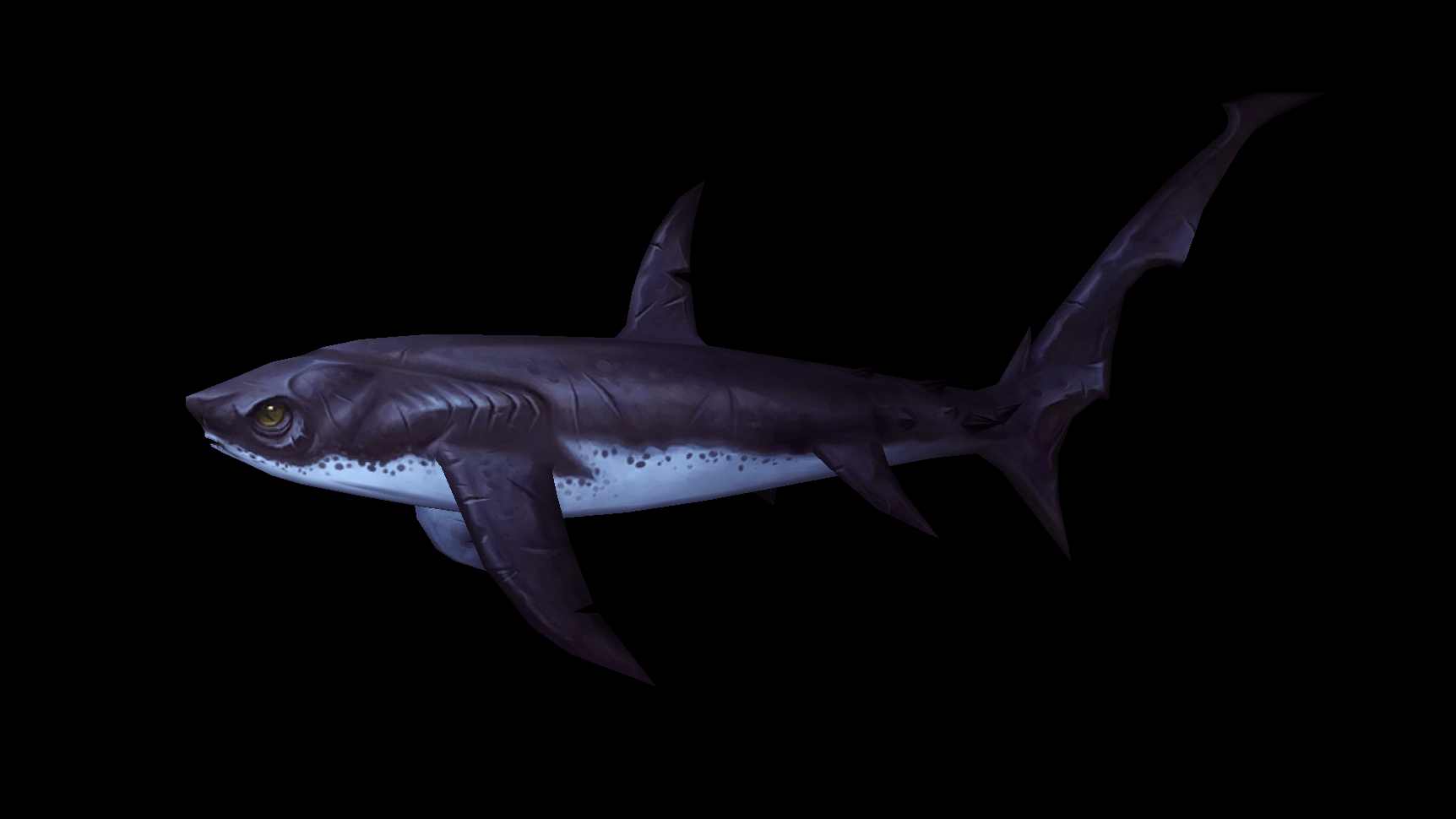 鲨鱼×2-3.png