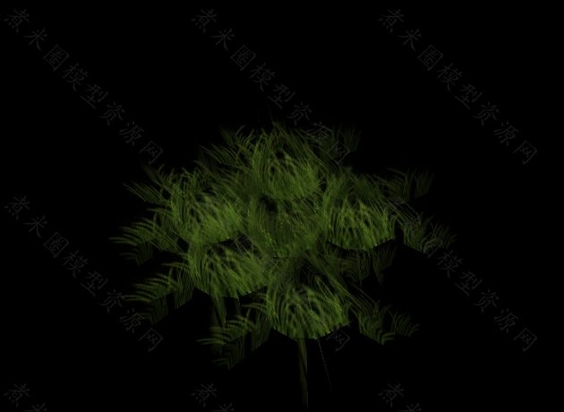 摇晃的芦苇丛没开花的（有动作）.jpg