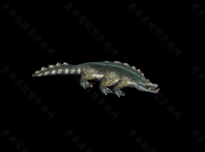 鳄鱼.jpg