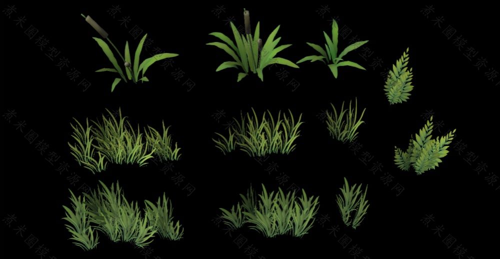 小草丛.jpg