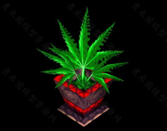 神奇的草药.jpg