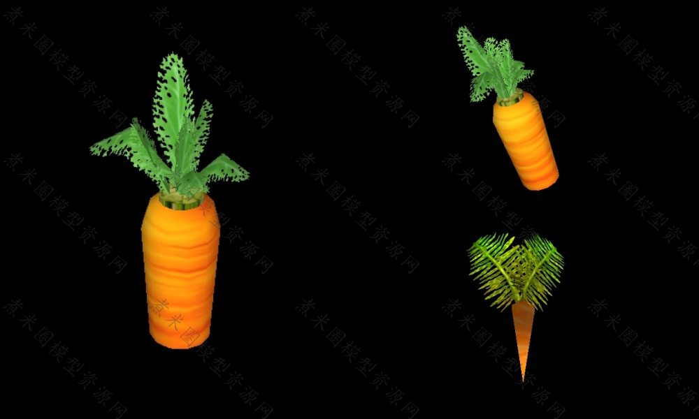 3个胡萝卜模型.jpg
