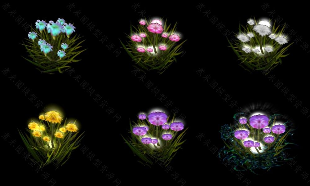 6种鲜花植物.jpg