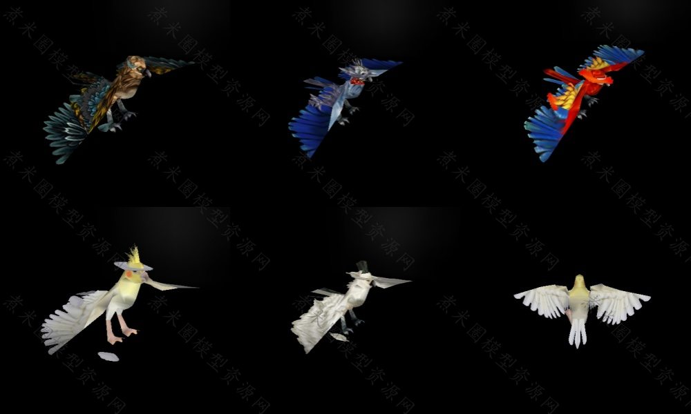 鹦鹉模型8种皮肤.jpg
