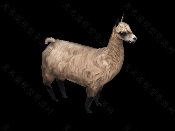 羊驼、草泥马.jpg
